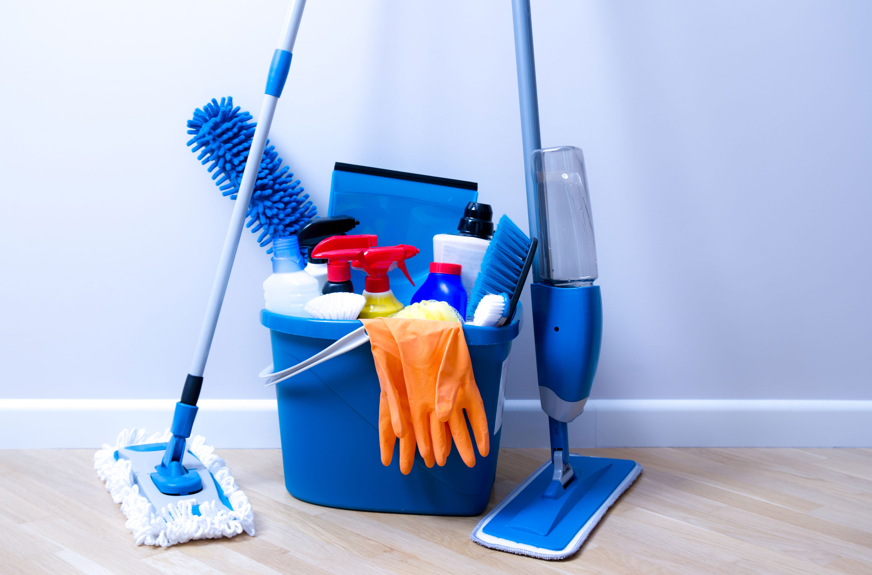 Wet Mopping vs. Dry Mopping: What's the Difference?